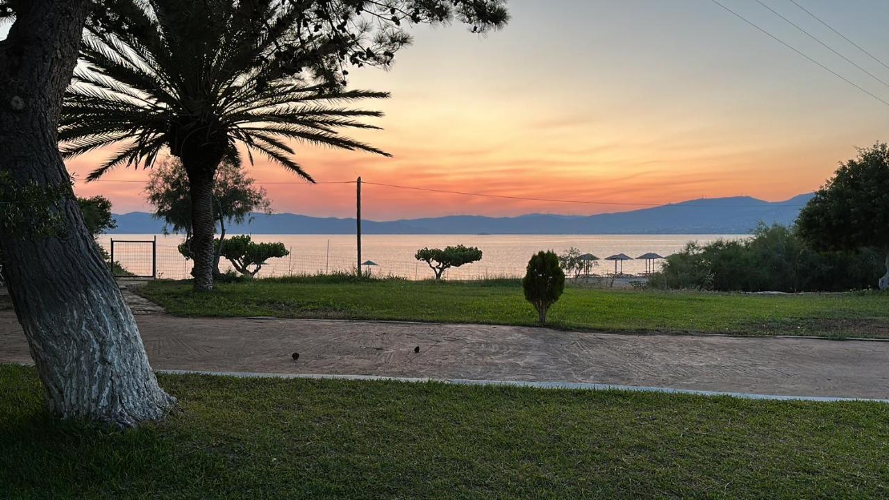 Vila Bouros Seaview Farm Karystos  Exteriér fotografie